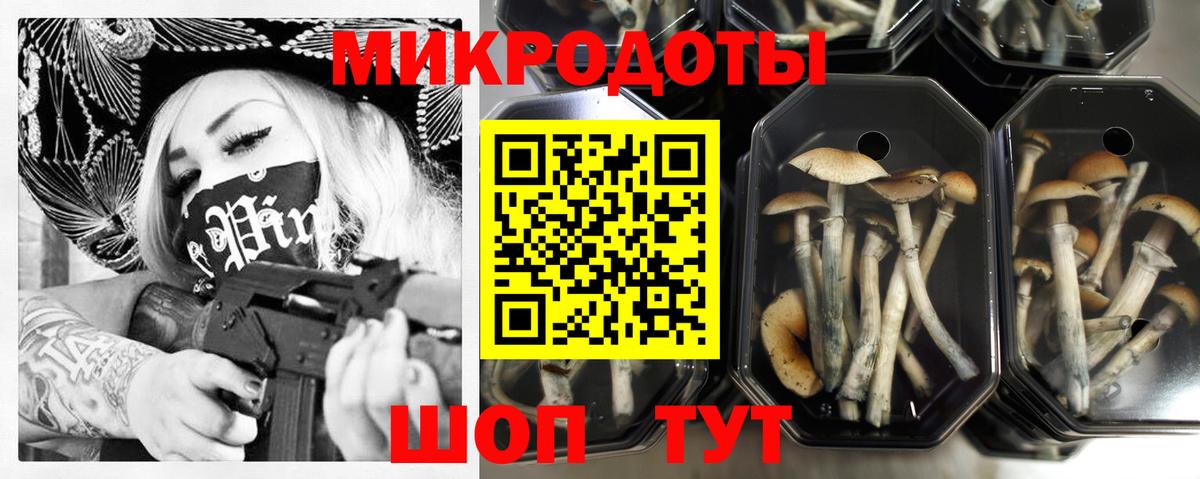 Псилоцибиновые грибы GOLDEN TEACHER Набережные Челны
