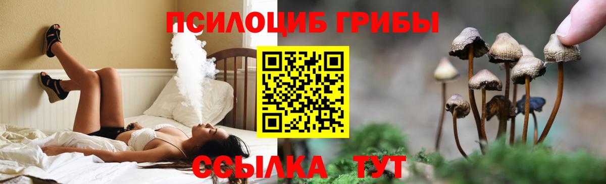 Набережные Челны  Псилоцибиновые грибы мухоморы  Галлюциногенные грибы Psilocybine cubensis  купить наркоту  Вход с VPN 